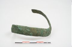 Foto von Bronzeschaukelfußreif (NHMW-PRAE-026631)